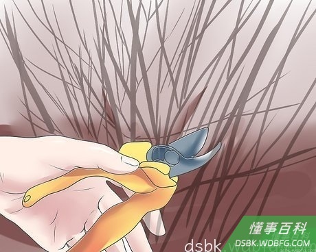 Step 2 不可修剪木化枝干。