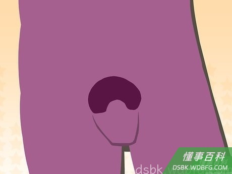 Step 3 狮子鬓毛风格。