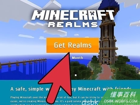 Step 3 在Mojang上订购服务。