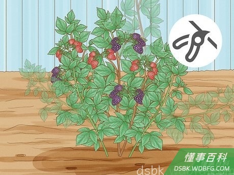 Step 3 给藤蔓打薄。