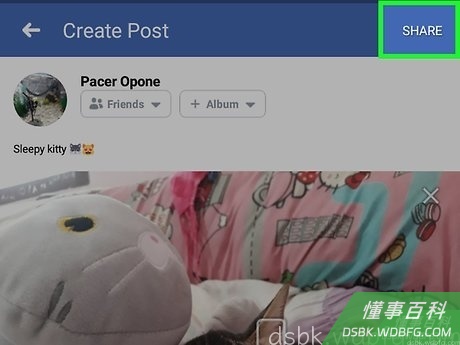 Step 5 如果你喜欢,可以给帖子添加文本信息。