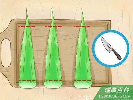 Step 2 剪掉叶子的顶部和底部。