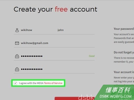 Step 4 勾选“同意MEGA的服务条款”方框。