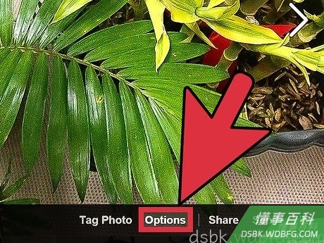 Step 2 一旦视图窗口打开之后,点击图片底部的“选项”。