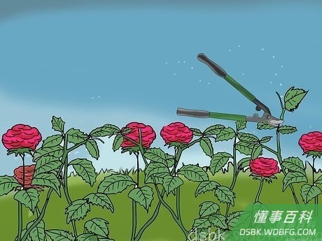 Step 3 整理灌木丛。