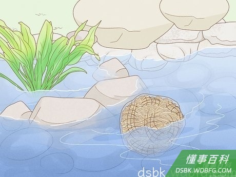 Step 2 在池塘中加入大麦秸秆。