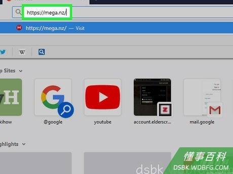 Step 1 打开MEGA网站。