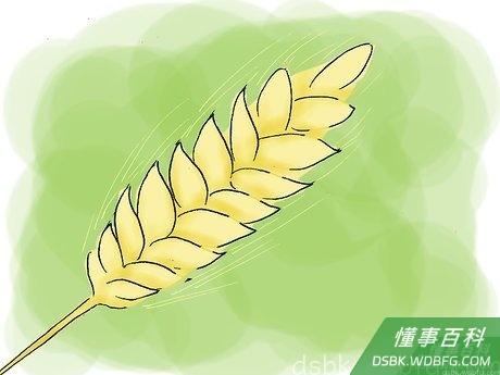 Step 6 如果你这一天的饮食中没有足够的纤维，吃纤维补充剂。