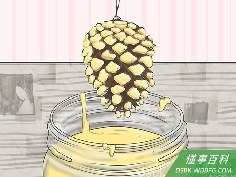Step 5 除了密封涂料,你也可用蜂蜡浸泡松果。