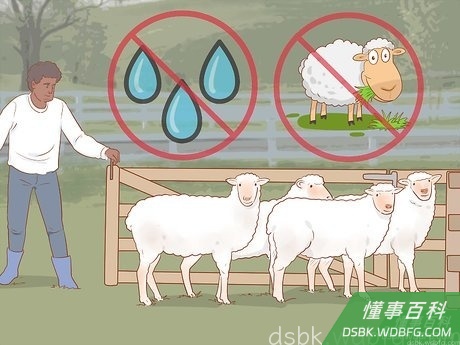 Step 5 把羊赶进围栏里。
