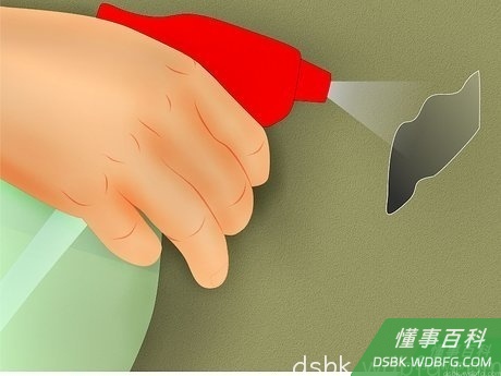 Step 2 用喷雾瓶将修复区域轻轻弄湿。