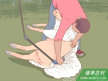 Step 4 换个地方来修剪左腿和尾巴。