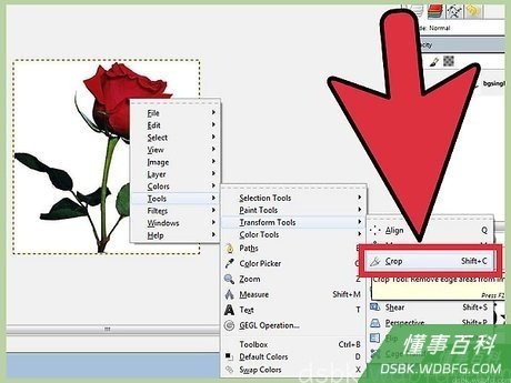 Step 1 打开要裁剪图像。