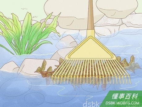 Step 2 手动清理池塘。