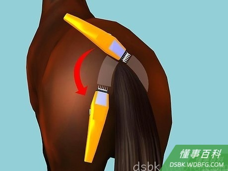 Step 4 尾巴和鬃毛周围要小心。