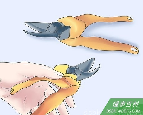 Step 3 使用干净的修枝剪。