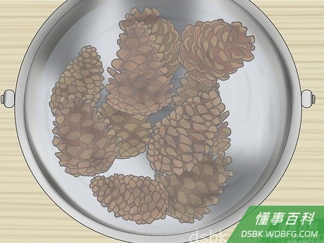 Step 4 将松果浸泡20到30分钟。