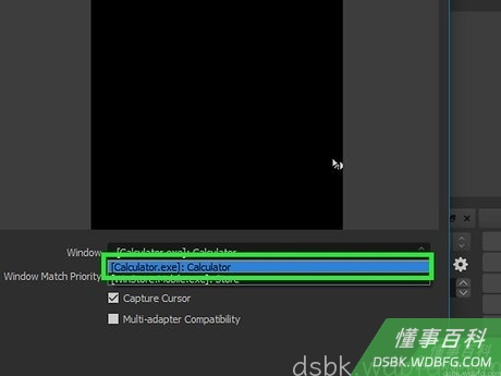 Step 10 点击包含要保存的流媒体视频的窗口。