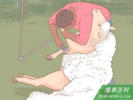 Step 6 修剪左肩部。