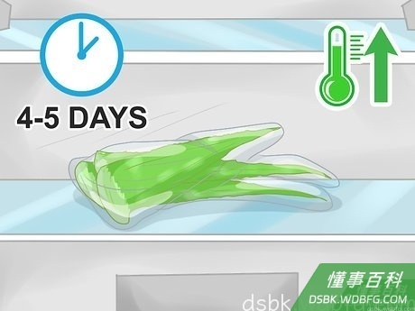 Step 1 把完整的芦荟叶子放进冰箱冷藏室，可保存4到5天。