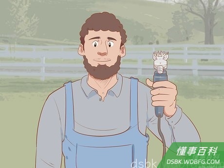 Step 3 考虑找一个经验丰富的剪羊毛人。