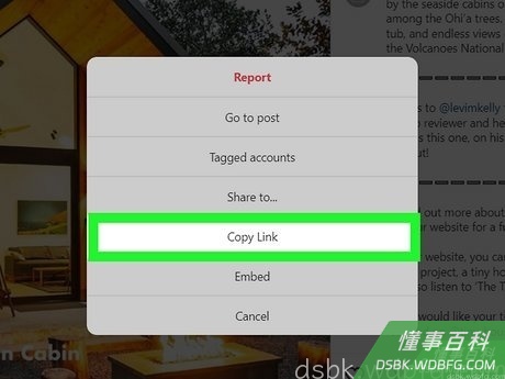 Step 5 复制照片的直接URL。