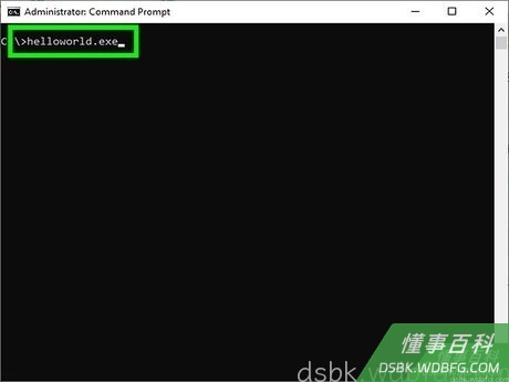 Step 12 输入程序的名称以运行程序。