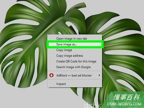 Step 3 从网页上保存图片。
