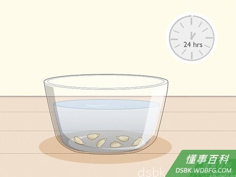 Step 3 浸种。