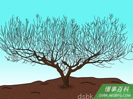 Step 2 清楚修剪时间。