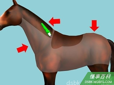 Step 5 猎人式修剪。