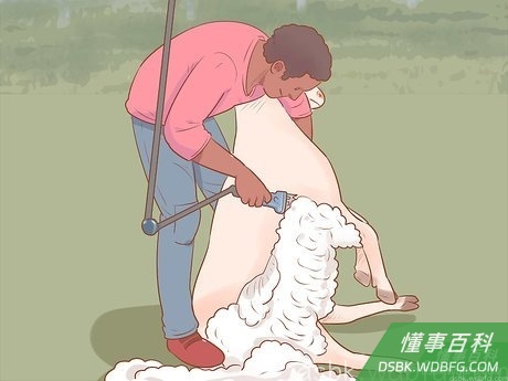 Step 8 换个姿势来修剪右侧。