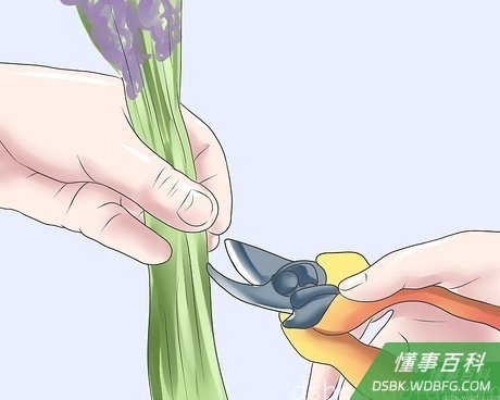 Step 5 第二波花朵开放时可以再剪一次。