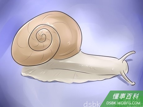 Step 5 阅读《如何保持耐心》,寻找如何在生活中表现出更多耐心。...