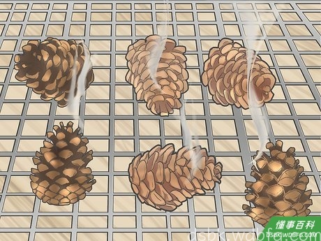 Step 5 松果变凉需要至少十分钟的时间。