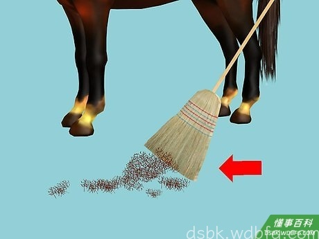 Step 7 清洁马毛。