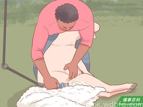 Step 9 修剪右腿和后臀。