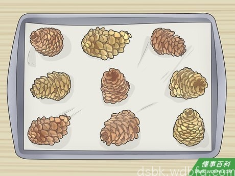 Step 2 在烤盘上铺上一层烘焙纸,然后将松果摆放好。
