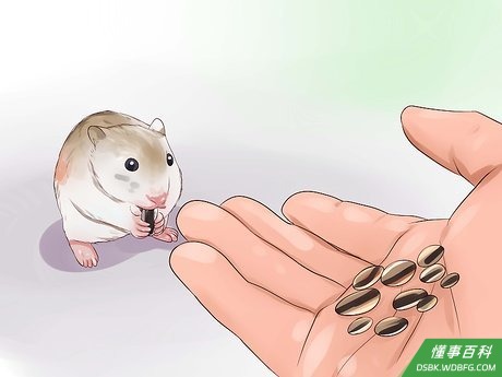 Step 3 培养感情。