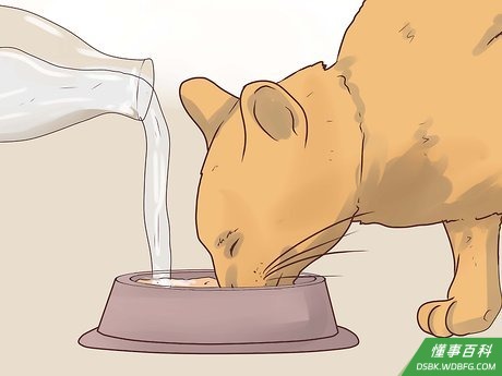 Step 4 了解哪些食物对猫咪是有害的。