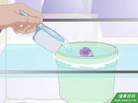 Step 1 把斗鱼放进去。
