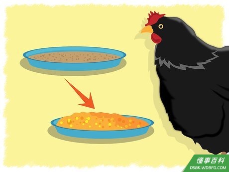 Step 3 改变他们的食物并且给它们治疗。