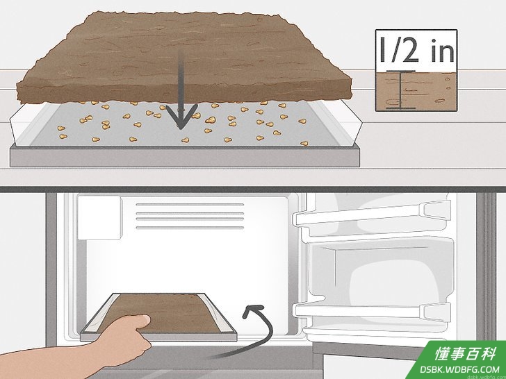 Step 2 让种子分层。