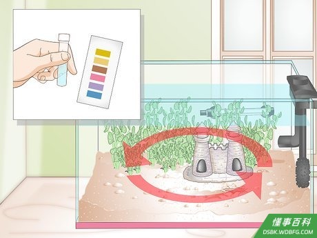 Step 3 每周测试水质。