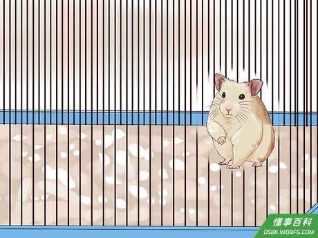 Step 1 提供充足的空间。