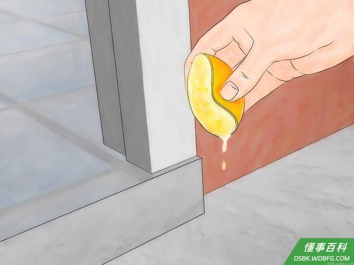 Step 2 沿着屋外边缘喷柠檬汁。