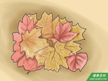 Step 2 收集落叶。