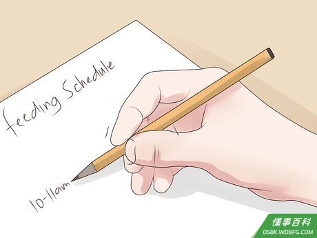 Step 3 尽量每天定时喂食。