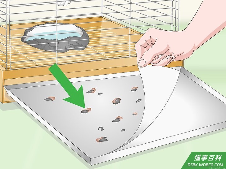 Step 1 每天更换衬垫。