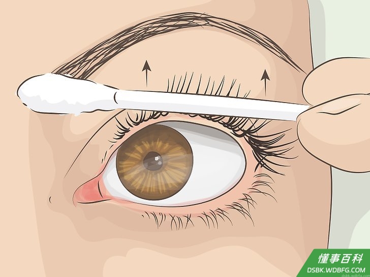 Step 2 用棉签棒，也就是没有棉花的部分顺着眼线向上弄卷睫毛。